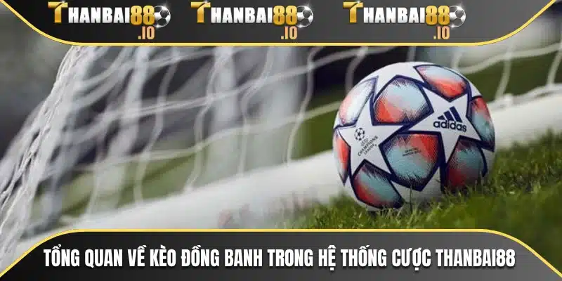 Tổng quan về kèo đồng banh trong hệ thống cược THANBAI88
