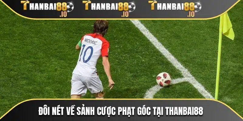 Đôi nét về sảnh cược phạt góc tại THANBAI88