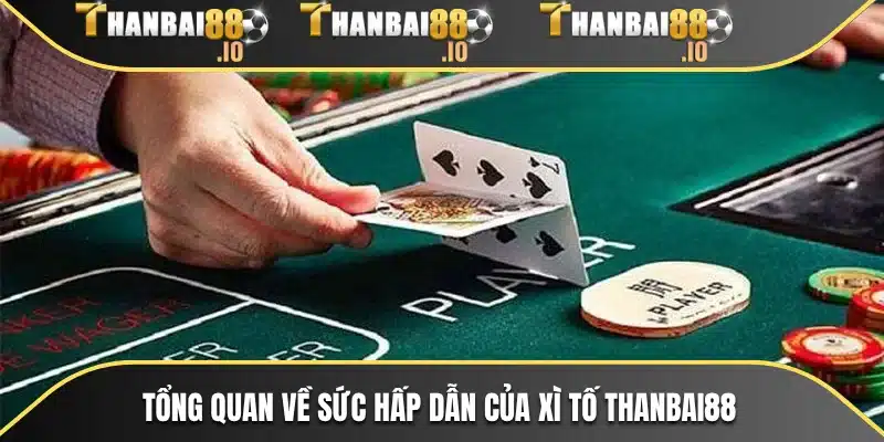 Tổng quan về sức hấp dẫn của xì tố THANBAI88